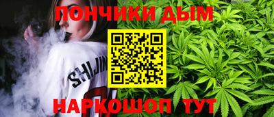 крисы Камень-на-Оби