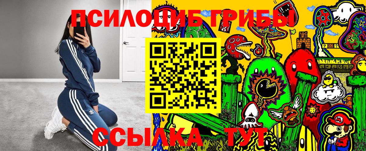 Благодарный  Галлюциногенные грибы GOLDEN TEACHER  Вход с VPN  Галлюциногенные грибы Magic Shrooms 